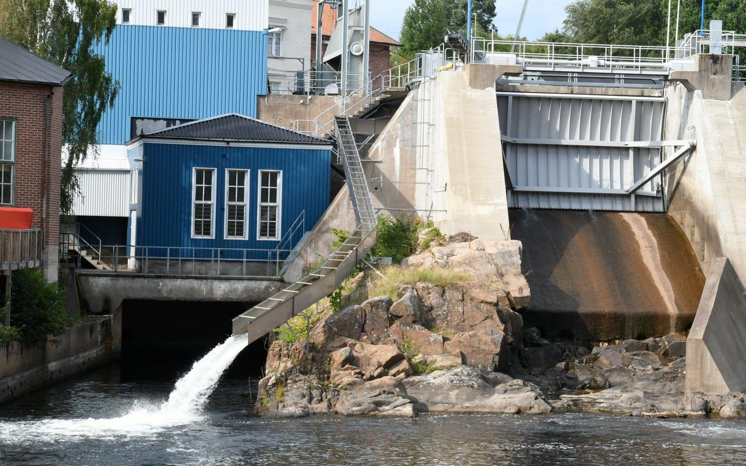 Vid kraftstationen i Hedefors är fallet tio meter, det blir ett högt språng för fiskarna att hoppa från fiskrännan. Bild: Charlotte Gad