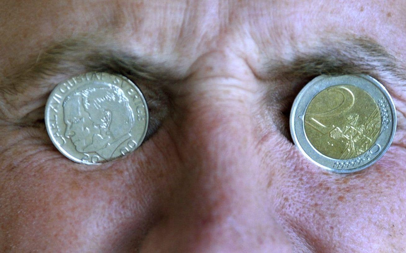 Det var ett tag sen. För 20 år sedan röstade svenskarna nej till euron. Arkivbild.