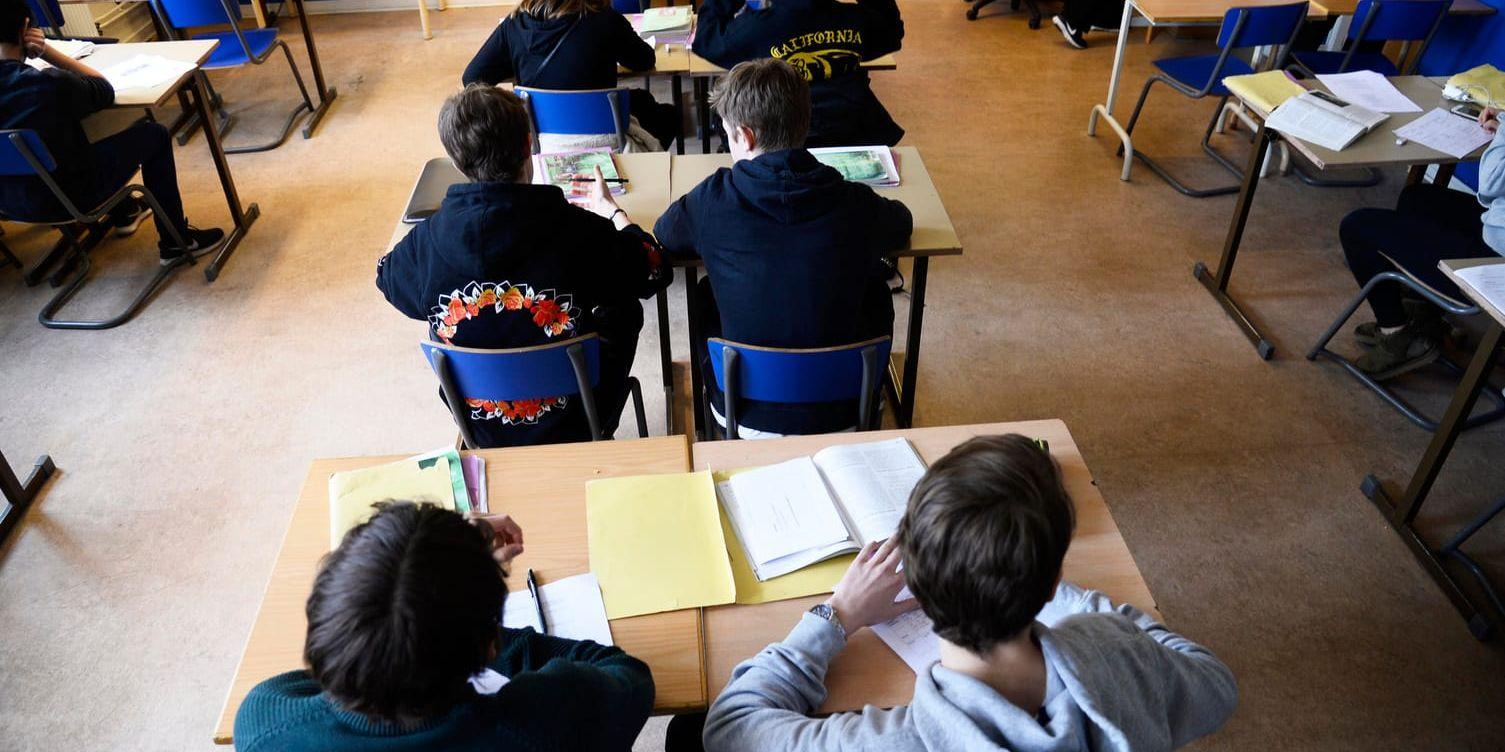 Sverige har inte en likvärdig skola. Men inte heller något annat land har lyckats skapa en fullt ut jämlik skola, enligt OECD. Arkivbild.