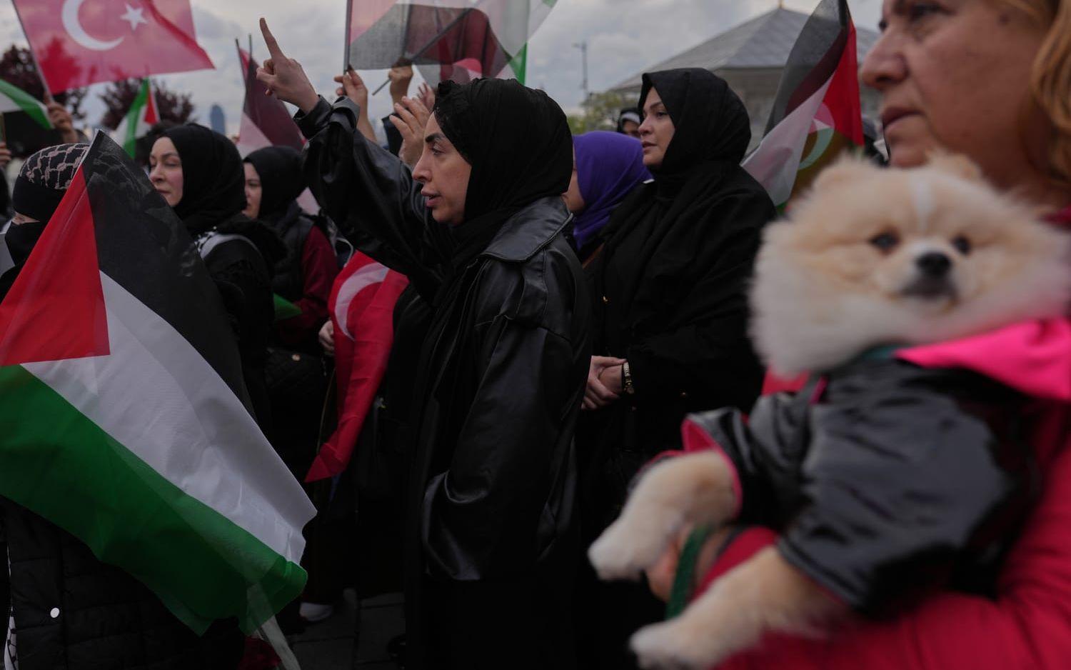 Underhelgen protesterade människor i Istanbul mot den israeliska insatsen mot Gazakonvojen Global Sumud Flotilla.