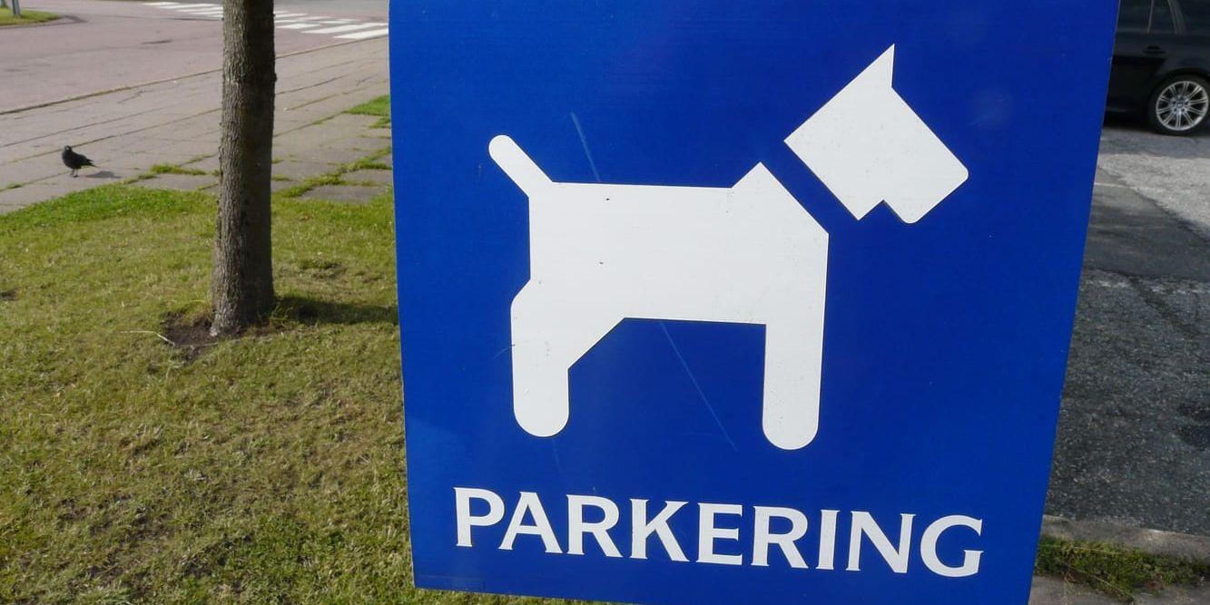 I dagsläget är det butiker i Kungsbacka, Vänersborg, Gävle, Sundsvall och Toftanäs som planerar att skaffa hundparkeringen. 