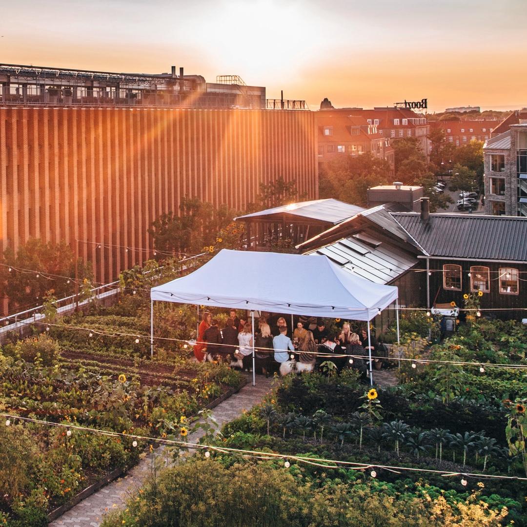 På ett hustak i östra Köpenhamn ligger stadens första takodling och restaurangen Gro Spiseri. Med smak av staden som brusar nedanför serveras matupplevelsen i växthuset där ovanför i grönskan.
