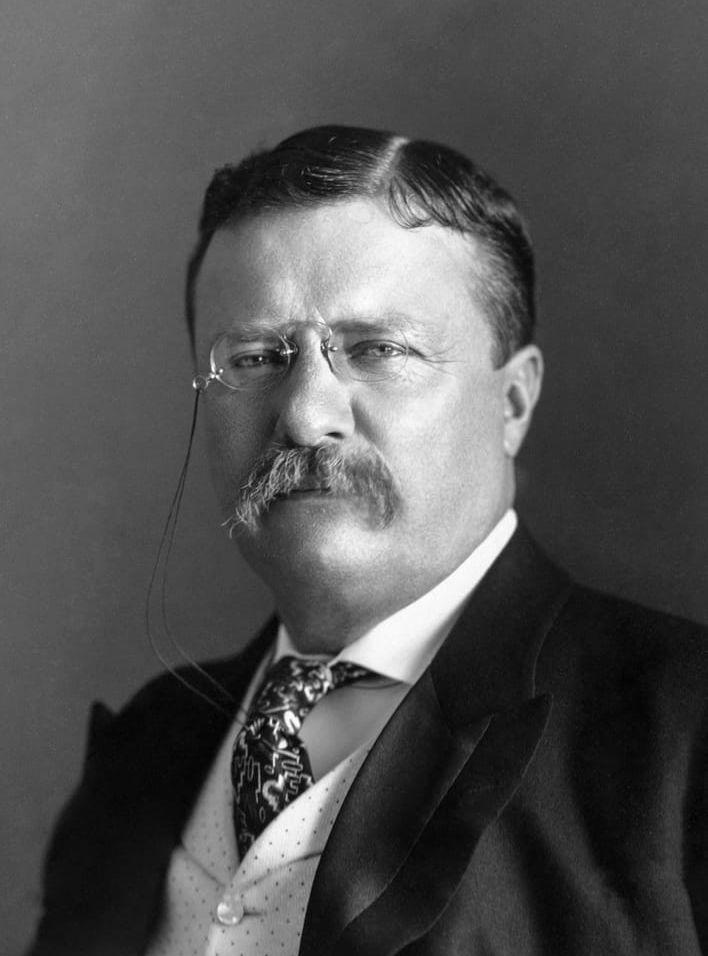 <strong>Theodore Roosevelt (R), 1901–1909.</strong> Med sina 42 år var Teddy Roosevelt den yngste presidenten i USA:s historia. Han låg bakom byggandet av Panamakanalen och skapade nationalparker och bevattningsprojekt.