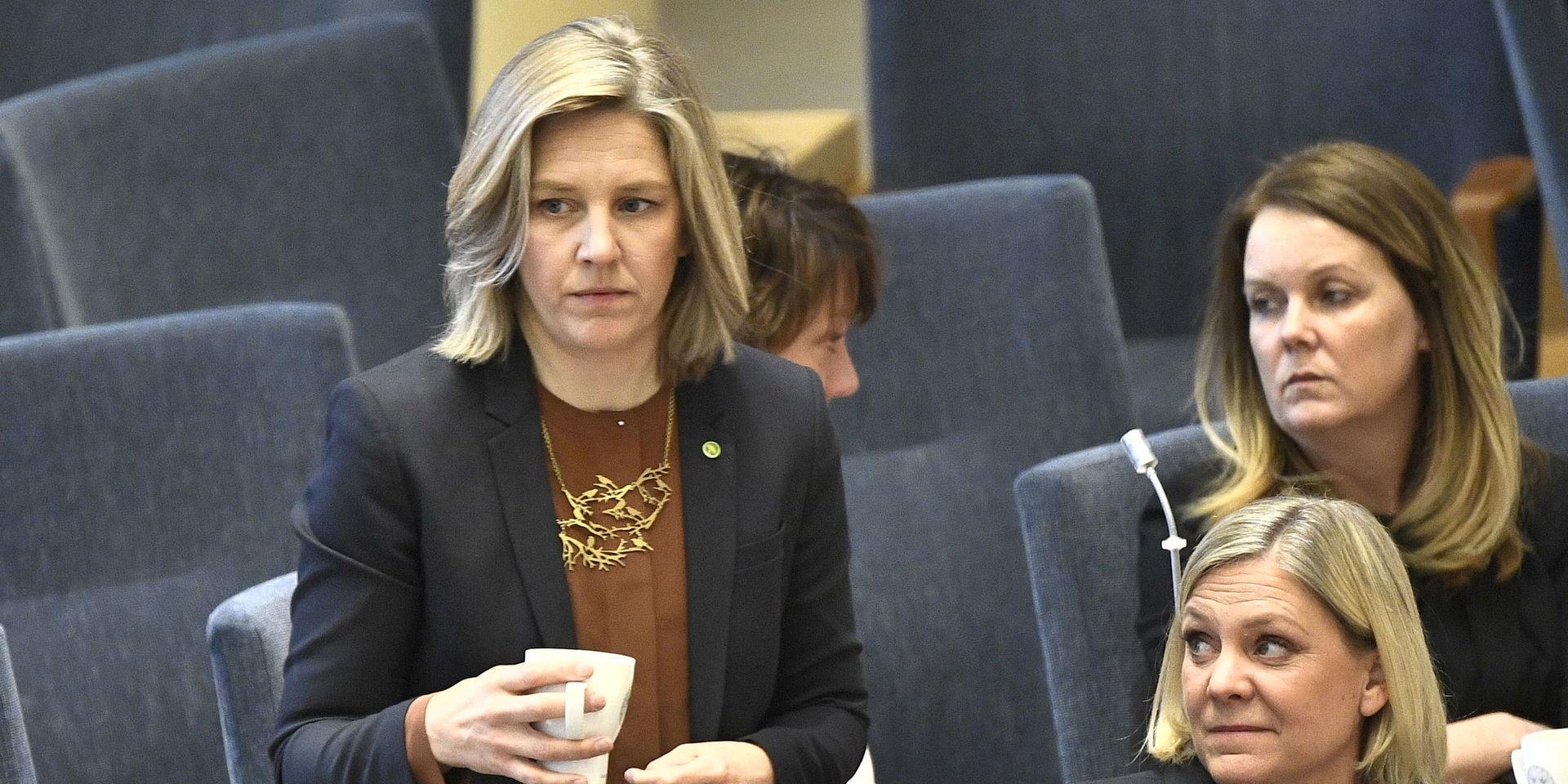 Miljöpartiets ekonomisk politiska talesperson Karolina Skog.