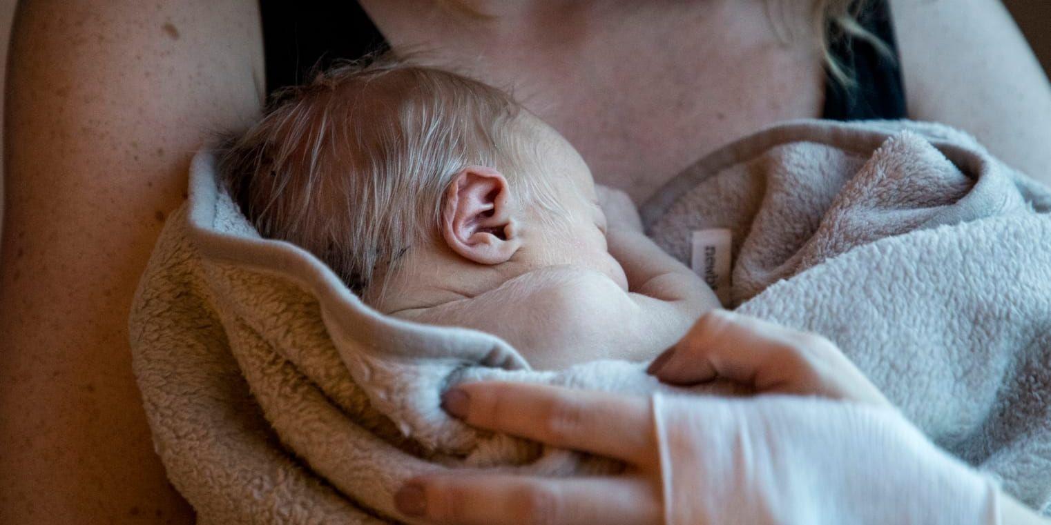 ”Framförallt vill staten att fler barn ska födas, efter nativiteten i Sverige är så låg. Därför har man även inkluderat lesbiska och ensamstående kvinnor, sedan 2005, respektive 2016.”, skriver Sanna Samuelsson. 