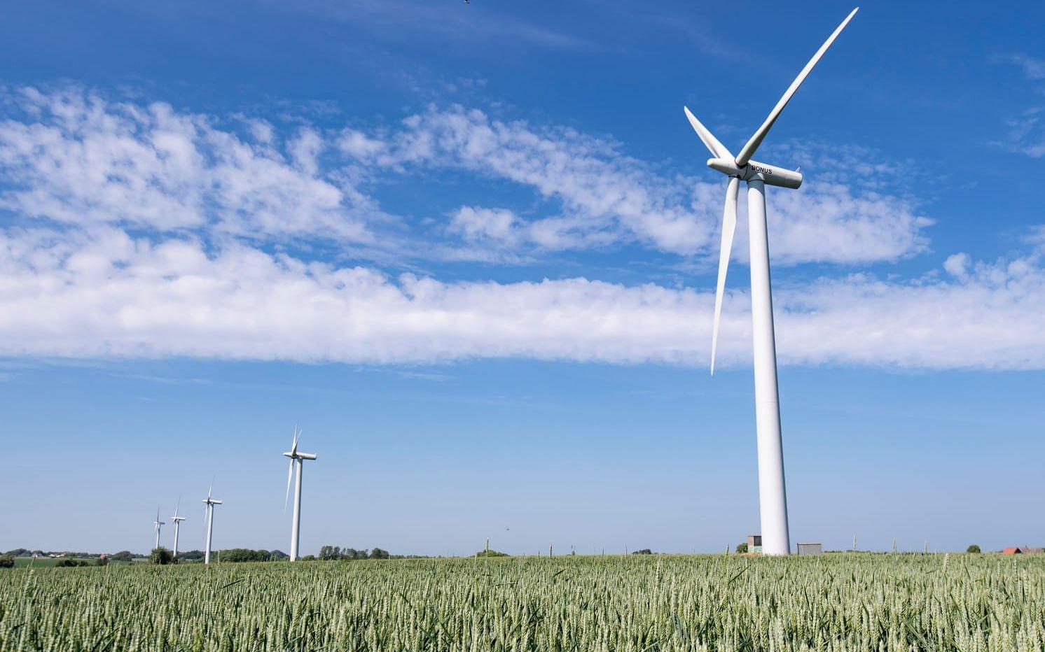 Vindkraftverk på rad på Samsø i Kattegatt. Arkivbild. 