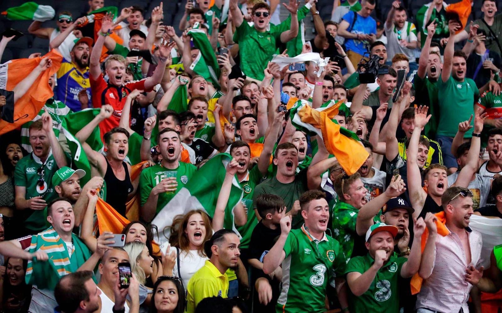 Många var irländare som hejar på McGregor. Bild: TT.