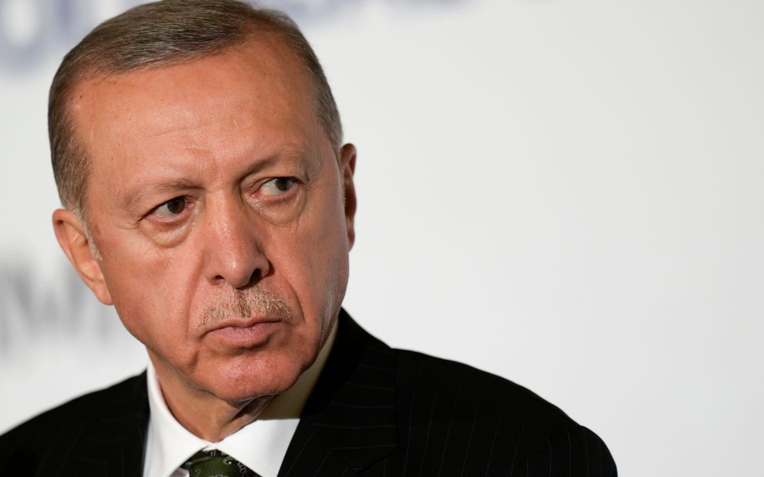 Den nya regeringen kommer också ha Nato-medlemskapet och Turkiets president Recep Tayyip Erdogan att hantera. 