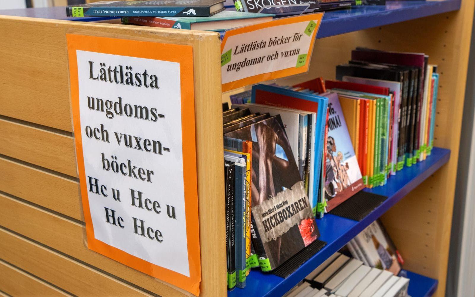 Skolinspektionen granskar hur den nya lagen om bemannade skolbibliotek efterlevs. Arkivbild.
