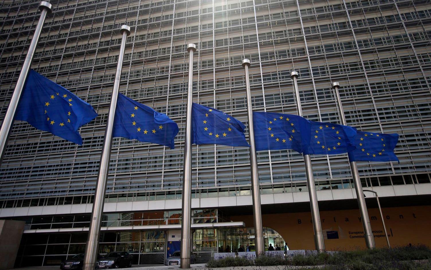Flaggor på halv stång i Bryssel under fredagen. Foto: TT