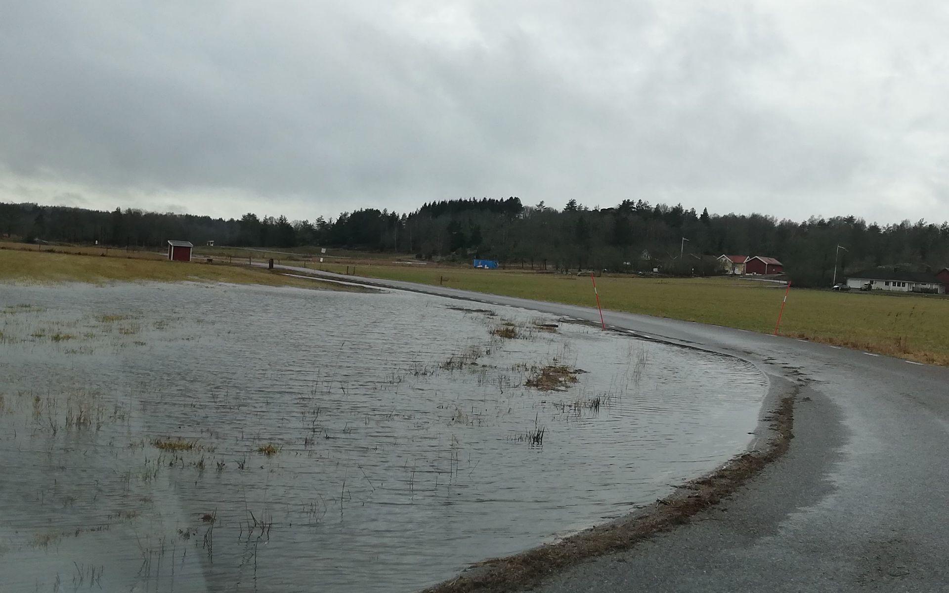 I Kärna utanför Kungälv har vattenmassorna nått vägkanten.