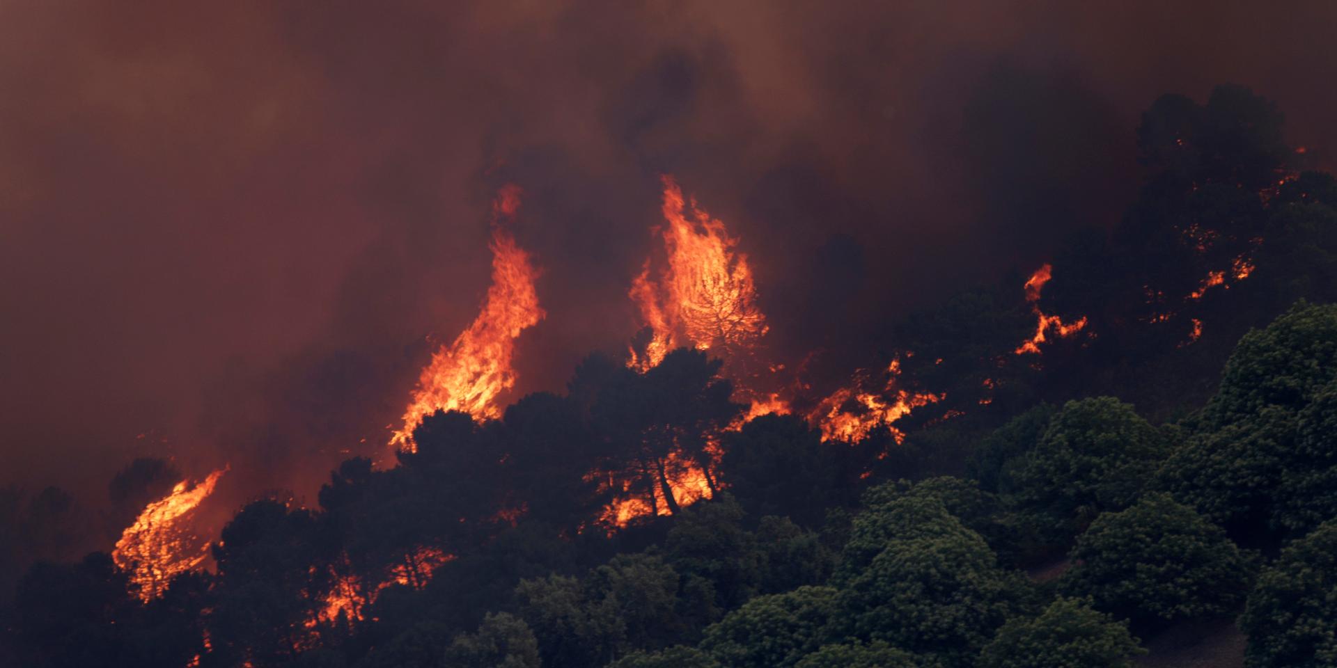 Under onsdagen startade en skogsbrand i Spanien som tvingat över 2 000 personer att evakuera staden Benahavis. Tre brandmän skadades i brandbekämpningen.