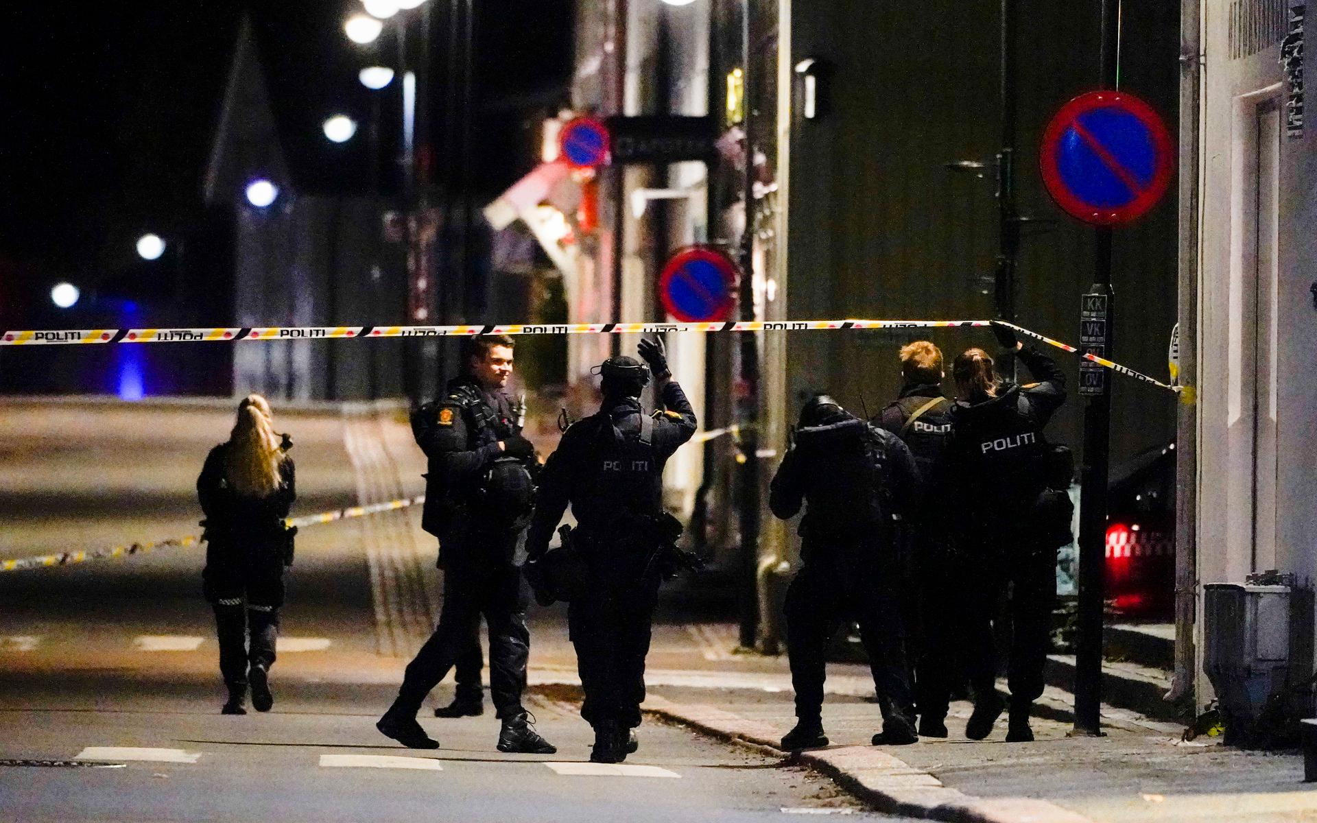 En stor polisinsats pågick i centrala Kongsberg under onsdagskvällen.