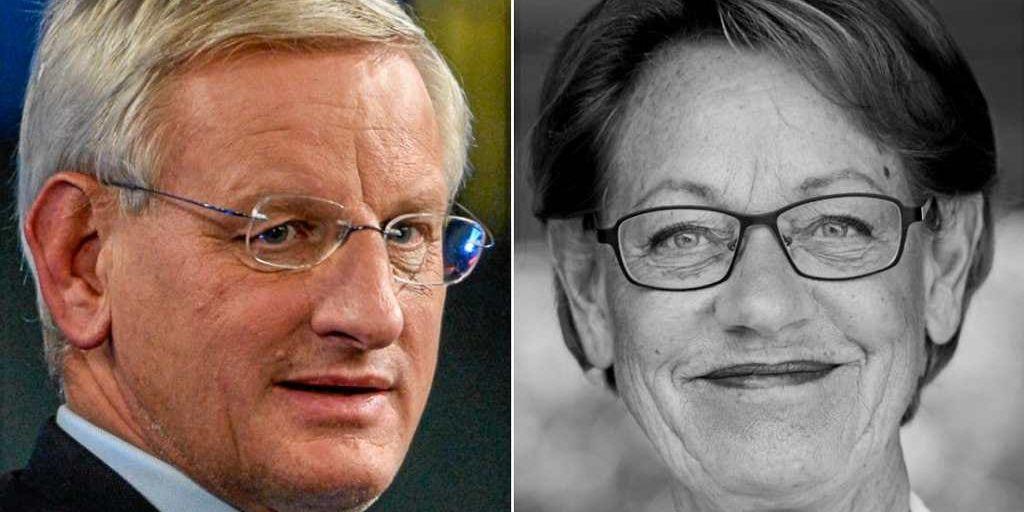 Carl Bildt och Gudrun Schyman.