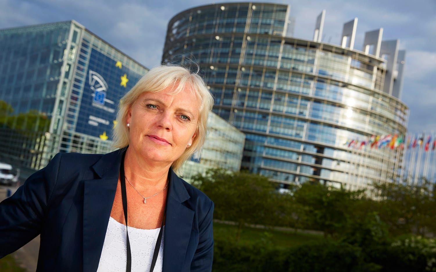 I maj 2014 valdes Kristina Winberg in i Europaparlamentet. Foto: FREDRIK PERSSON / TT
