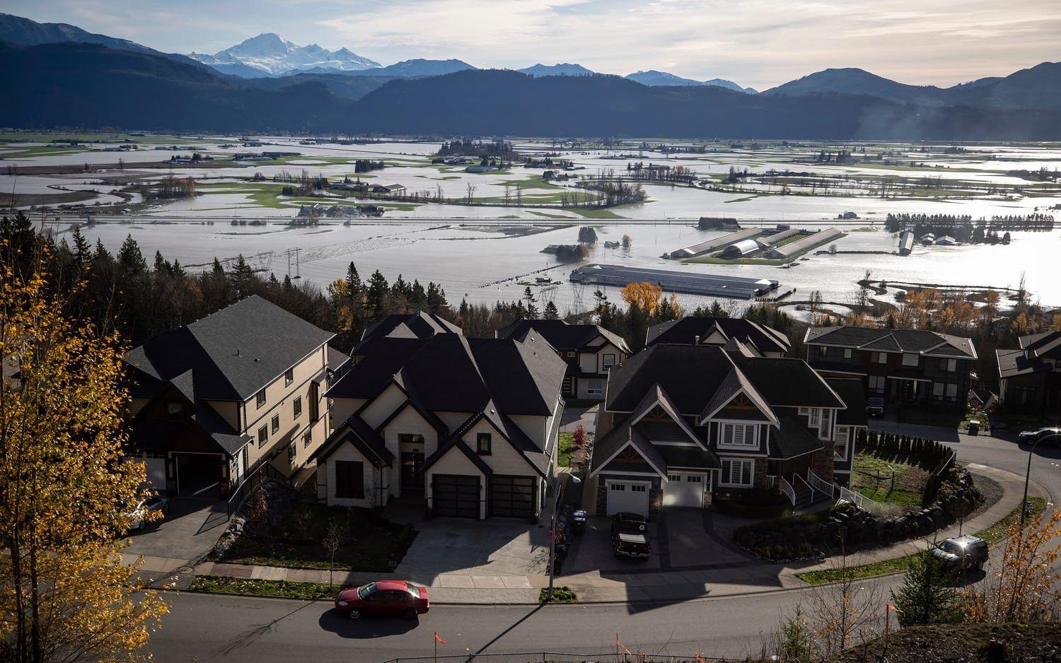 Markerna i dalen vid staden Abbotsford i Britsh Columbia ligger under vatten. Bild: Darryl Dyck.