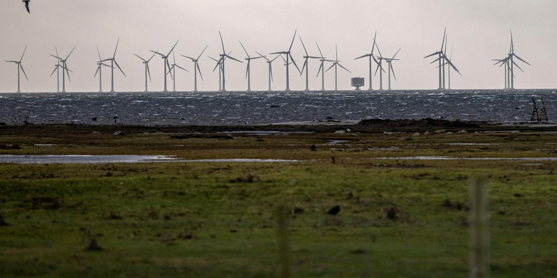Upp till 17 år kan ta från ansökan till elproduktion för havsbaserad vindkraft, enligt Svensk Vindkraft.