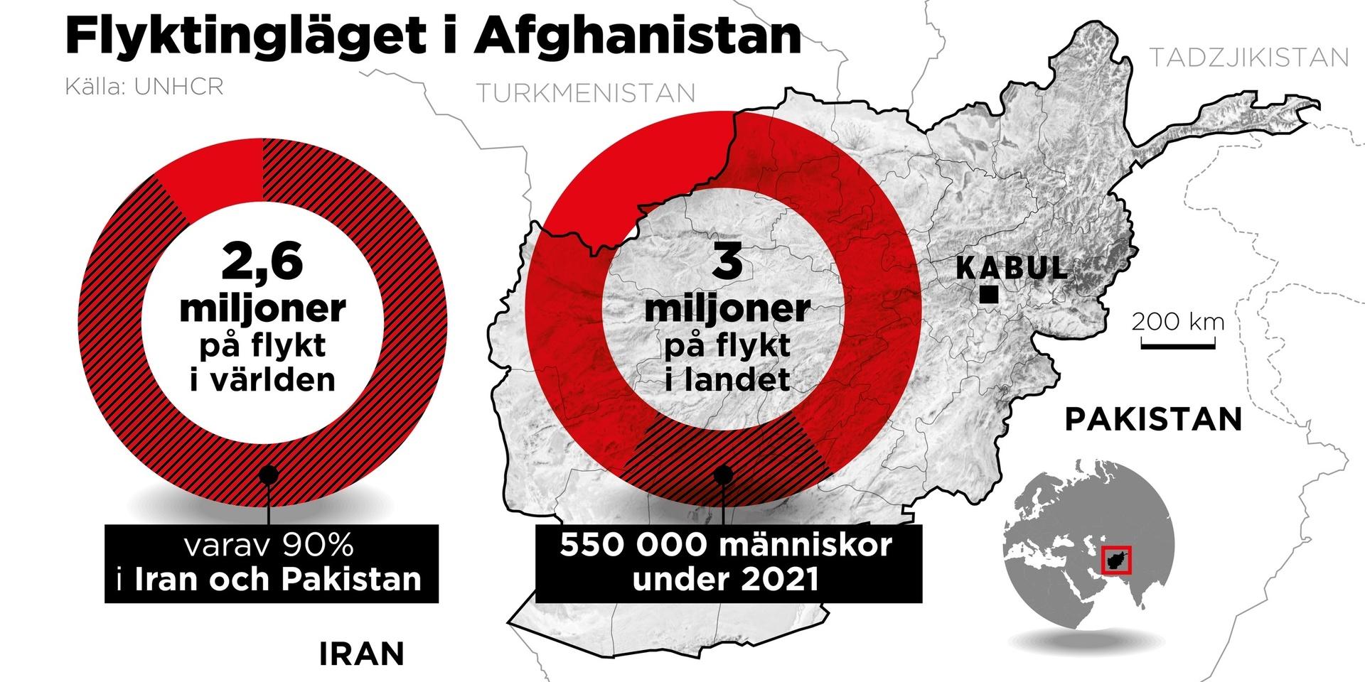 Flyktingsituationen i Afghanistan den 23 augusti i år.