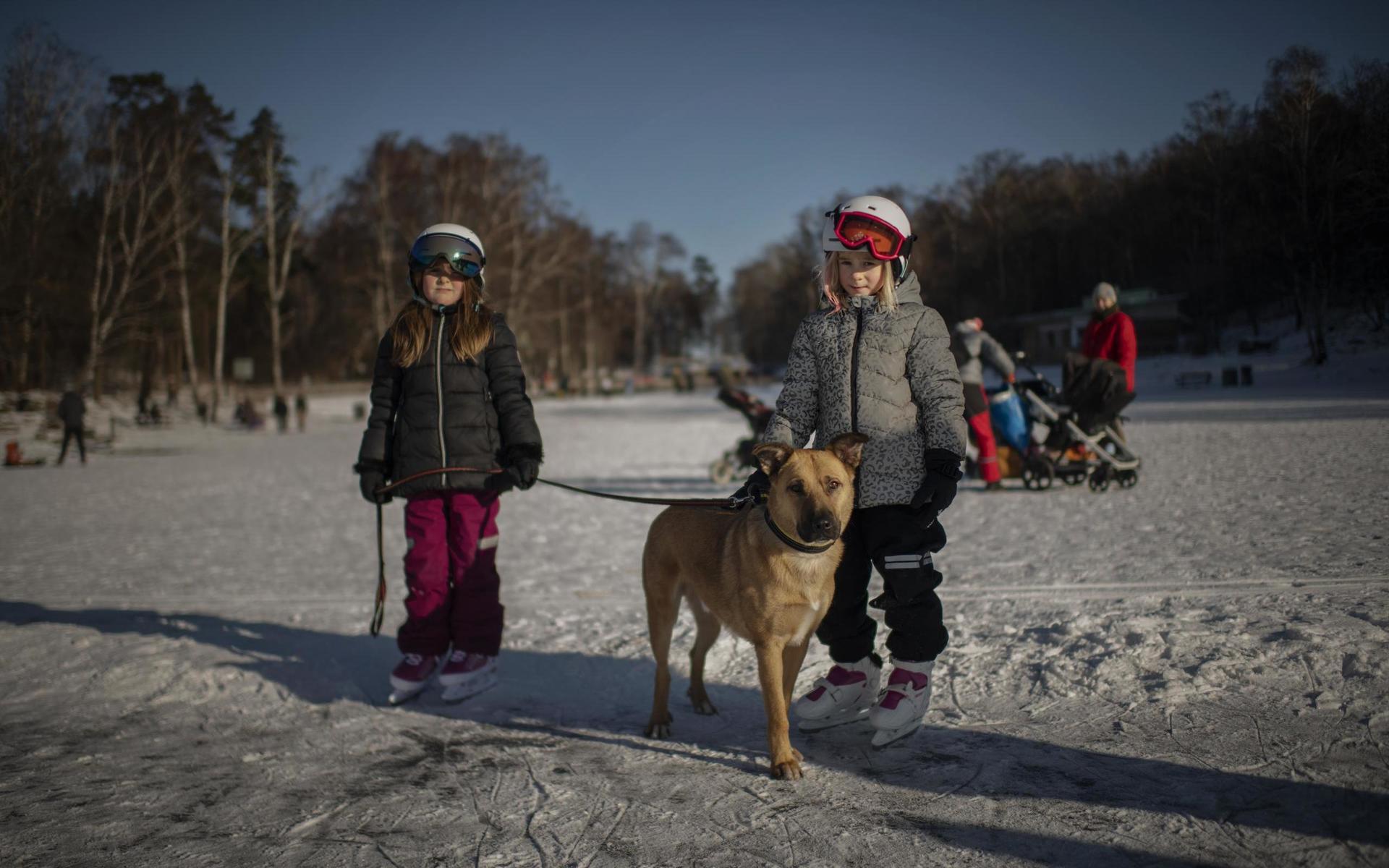 Tvillingarna Linnea och Hanna Stam fick extra mycket fart på isen, tack vare deras hund Tippo.