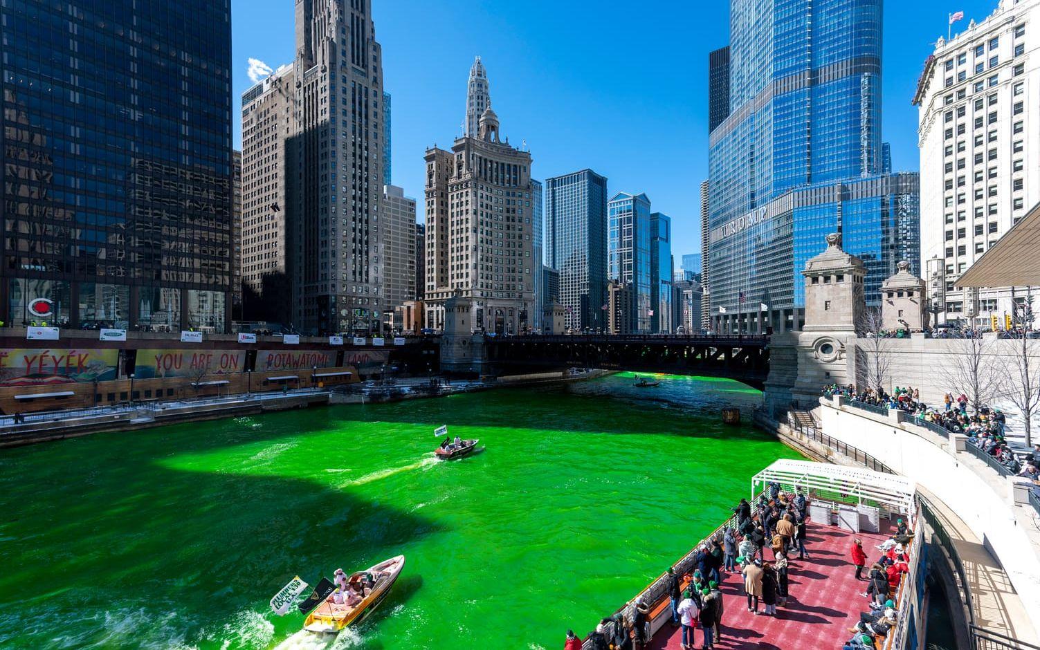 Chicagofloden är traditionsenligt grön inför Irlands nationaldag.