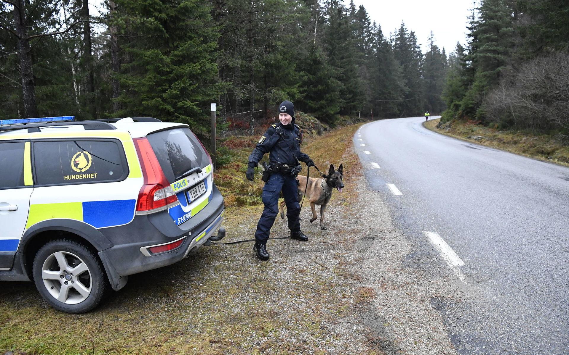 Hundpatruller söker igenom Uddevalla med omnejd efter försvunna Wilma Andersson.