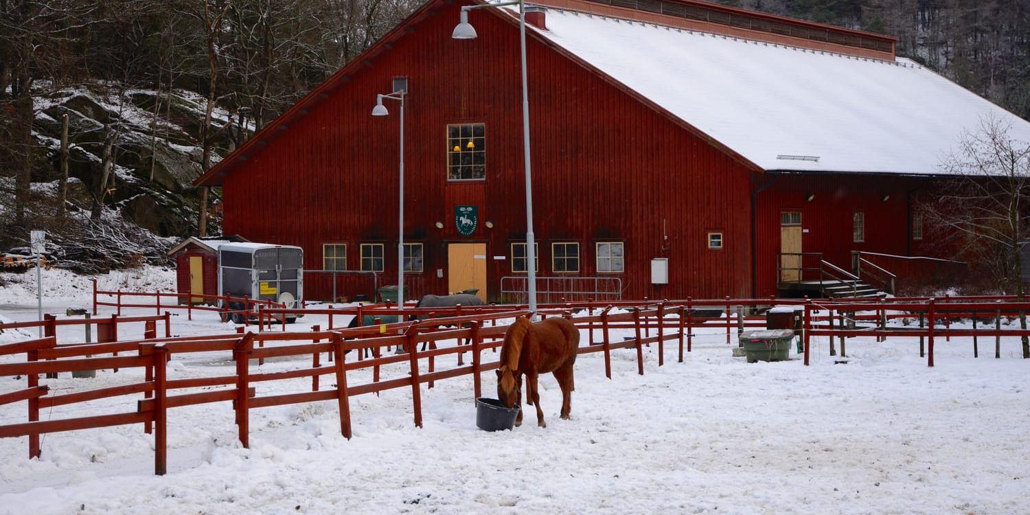 Gunnebo ryttarsällskap har ett 20-tal hästar och ridskola vid Gunnebo slott. Men fortfarande är framtiden för verksamheten osäker. Bild: Karina Hansson