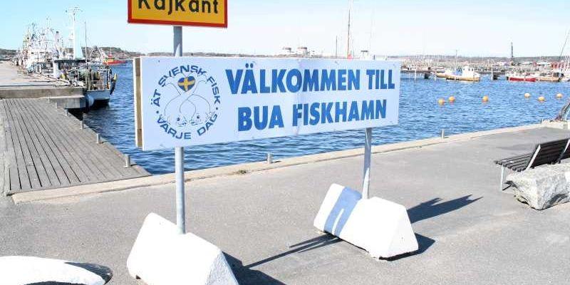 Bua i Halland är ett klassiskt fiskarsamhälle. Men det kan bli så att samtliga båtar i hamnen skrotas.