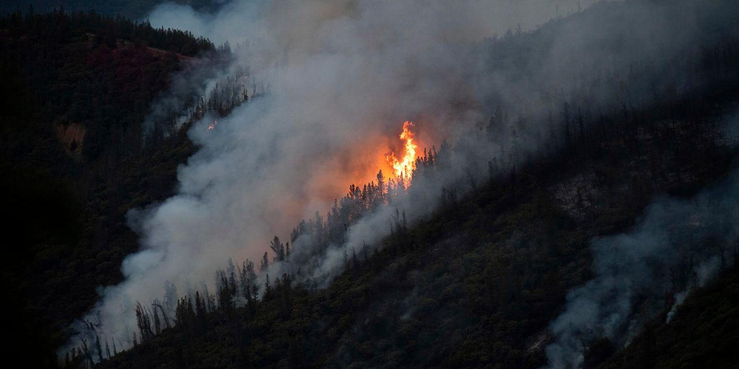 Ferguson-branden närmar sig Yosemite.