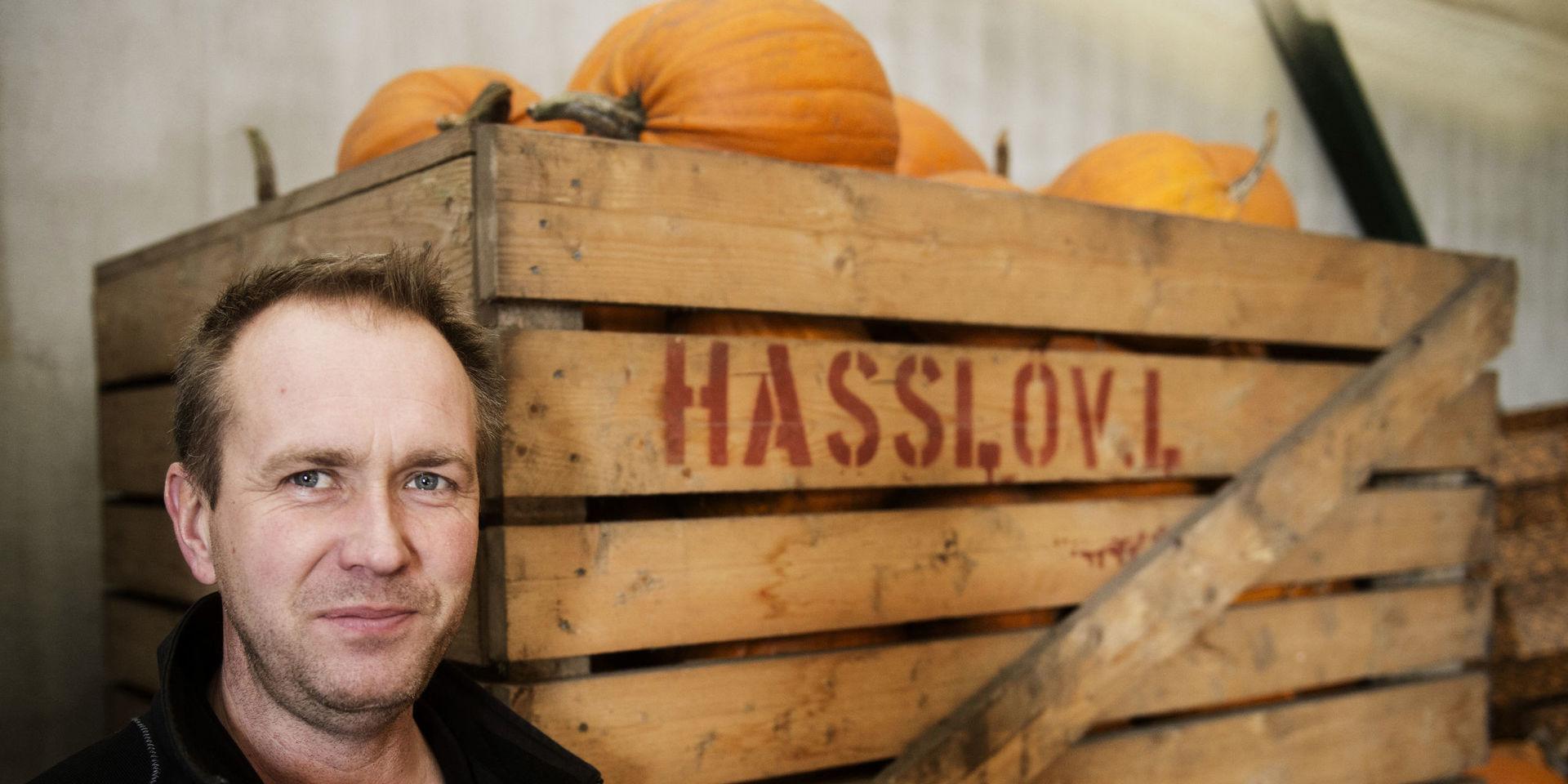 Magnus Magnusson odlar pumporna som syns under Lisebergs halloweenfirande – närmare 30 000 stycken.