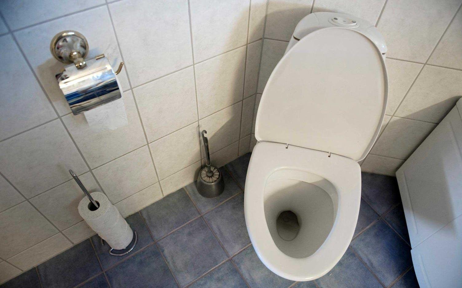 Myt 4: ”Man kan bli sjuk av att ta i spolknappen på offentliga toaletter”. Agnes svar: ”Nej. Det här vittnar om en otrolig okunskap. Tyvärr lär man sig inget om människokroppen i skolan.” Bild: Jessica Gow