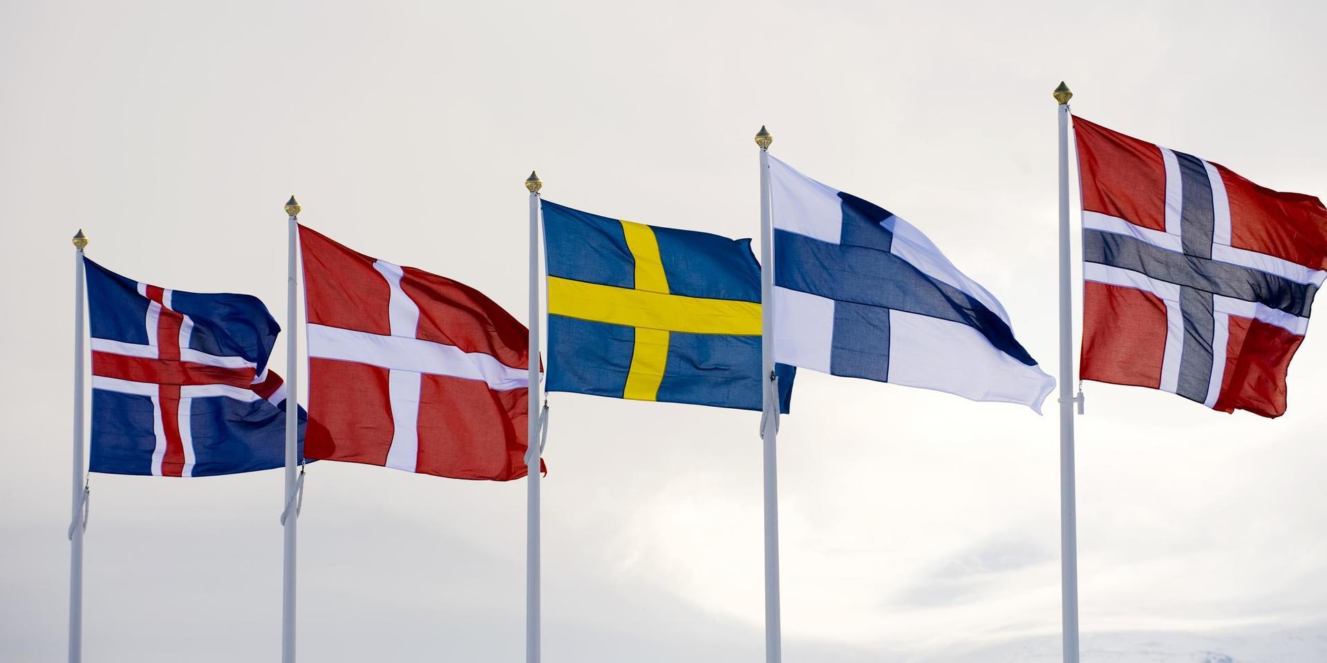 Att Sverige avviker från sina nordiska grannländer i synen på högerpopulismen säger mer om Sverige än om SD. 