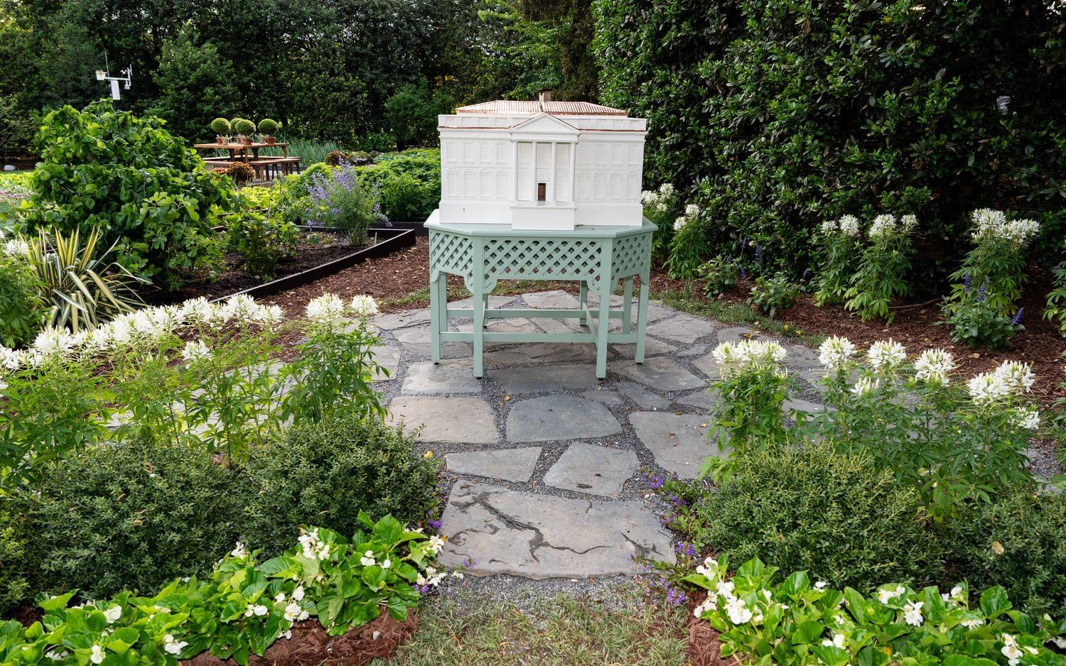 Vita husets senaste bikupa ser ut som – Vita huset.