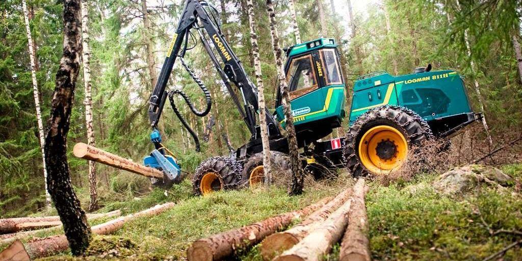 Ett bohuslänskt skogsföretag har fått tillstånd att sätta upp övervakningskameror runt sina arbetsplatser.