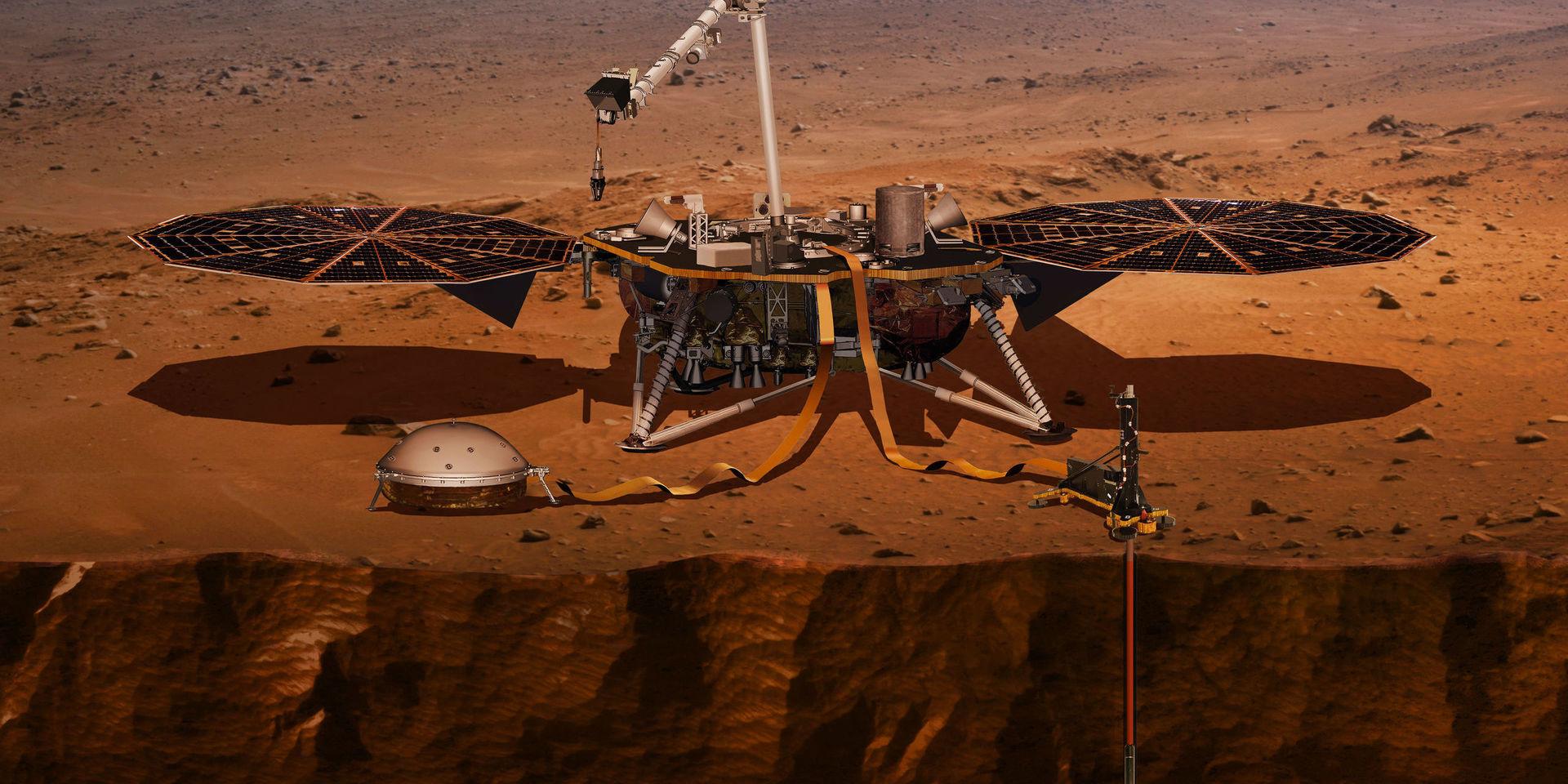 Illustration av rymdsonden Insight, som beräknas landa på Mars under måndagskvällen.