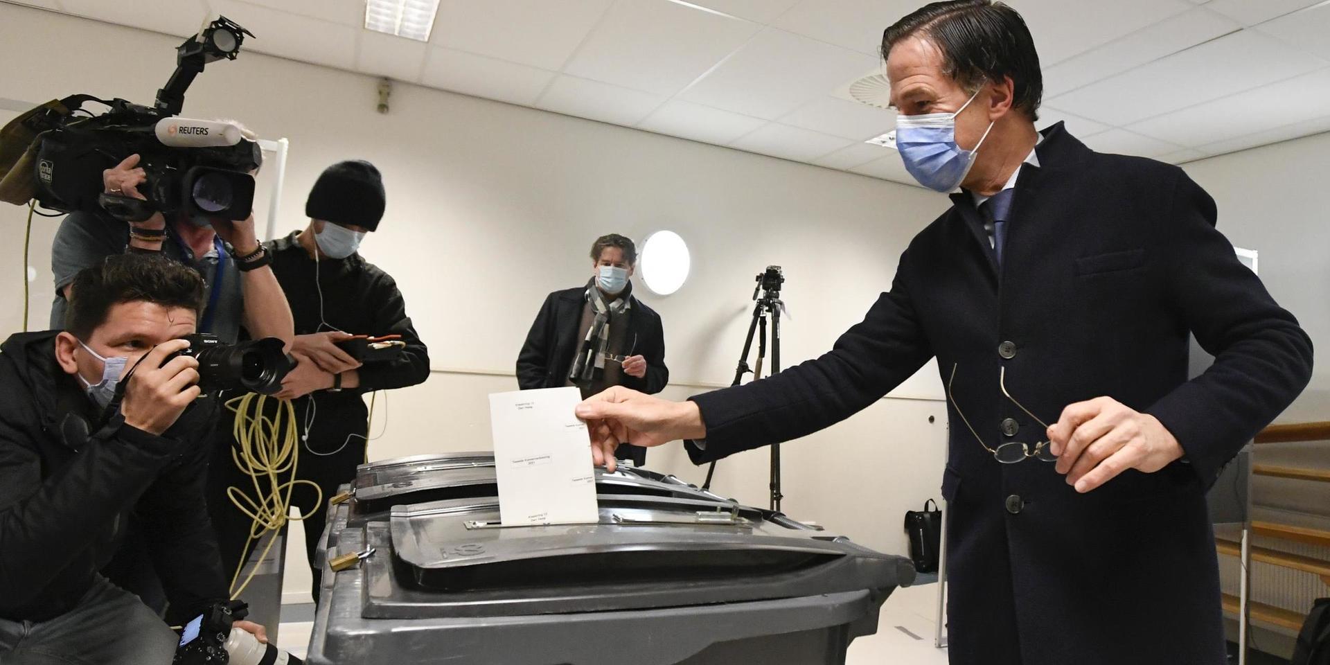 Nederländernas premiärminister Mark Rutte lägger in sin röst i onsdagens parlamentsval.