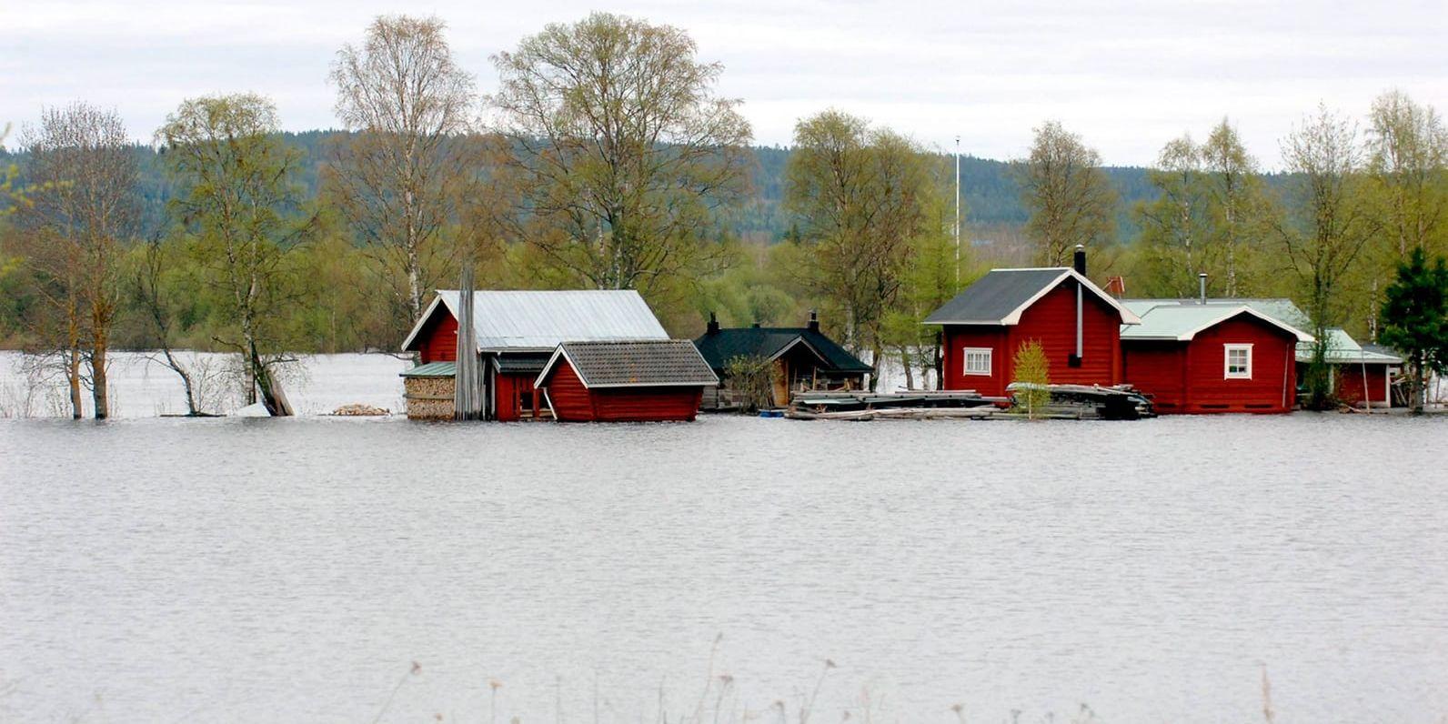 2005 hade en del stugägare problem med översvämningar när vattnet i Torneälven steg till höga nivåer. Arkivbild.
