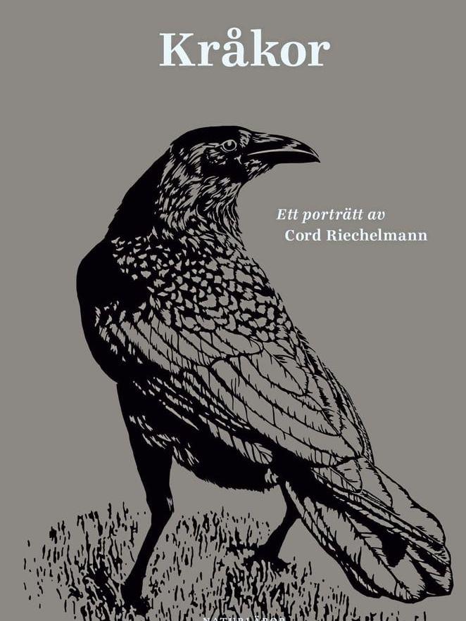 ”Kråkor” av Cord Riechelmann. Kråksläktet räknar strax över fyrtio arter, som kaja, råka, korp, gråkråka och svarkråka.