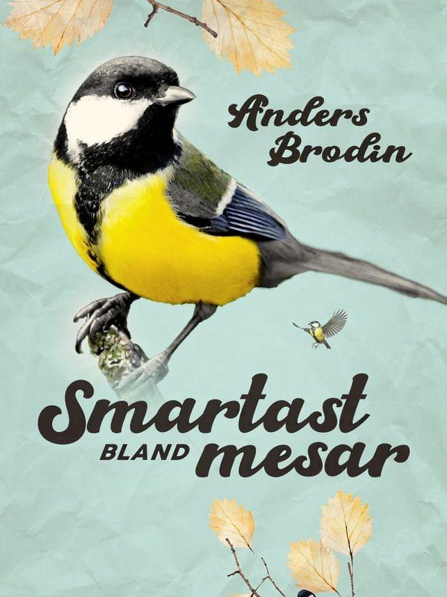 ”Smartast bland mesar” av Anders Brodin beskriver talgoxen som en överlevande allkonstnär.