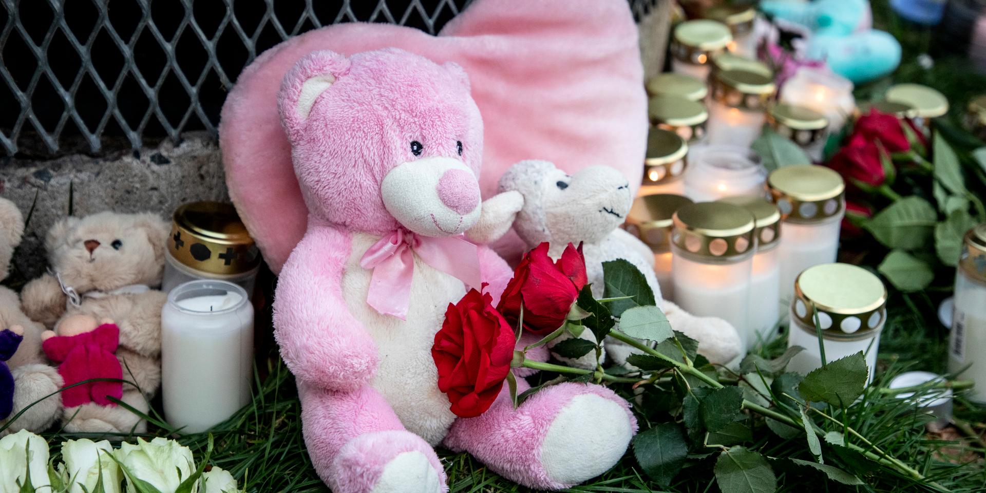I november dödades en treårig pojke och en sjuårig flicka skadades svårt i Hässelby i nordvästra Stockholm. Under måndagen inleds rättegången mot deras pappa för mord och försök till mord vid Solna tingsrätt. 