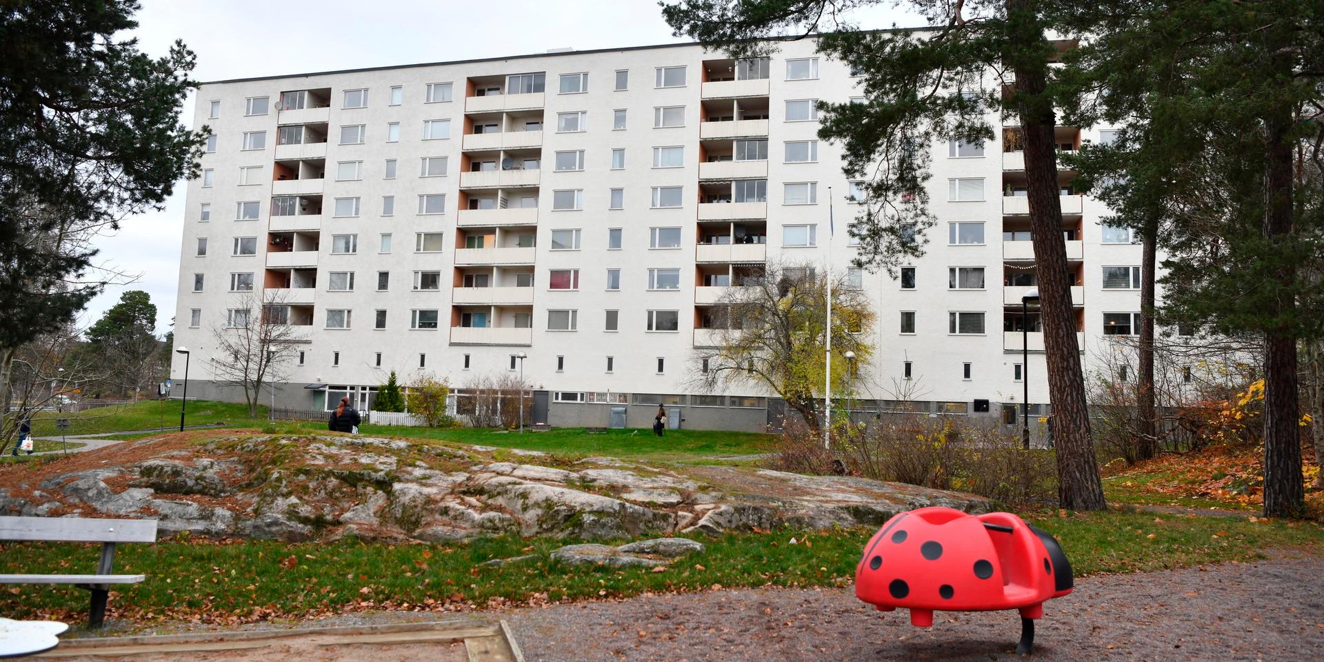 Det var i november som barnen knivhöggs och kastades ut från ett fönster på femte våningen i Hässelby i Stockholm. 