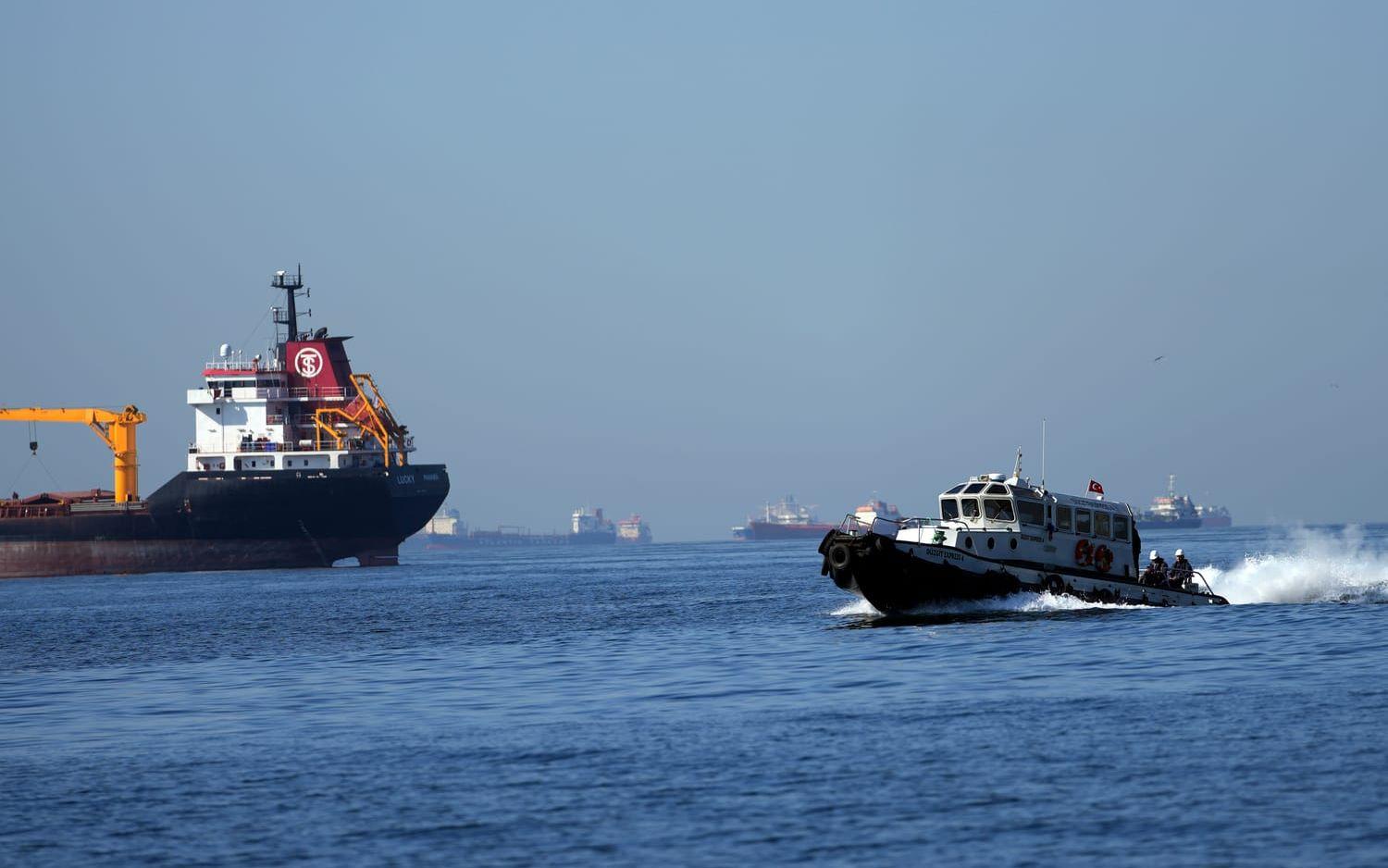 Tolv fartyg med spannmål har under morgonen lämnat Ukraina. Arkivbild.