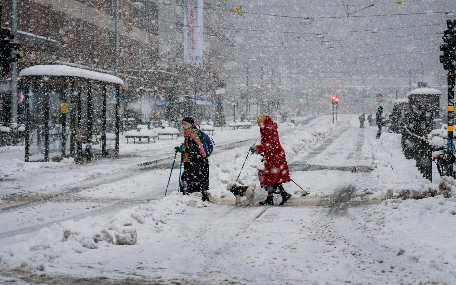 Under de senaste dagarna har det snöat kraftigt i Stockholm. 