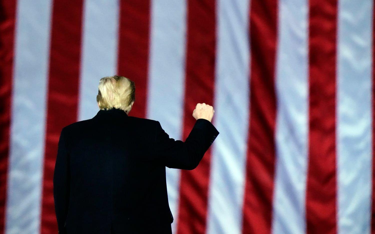 President Donald Trump vid ett kampanjtal för Kelly Loeffler och David Perdue i Dalton, Georgia i måndags.