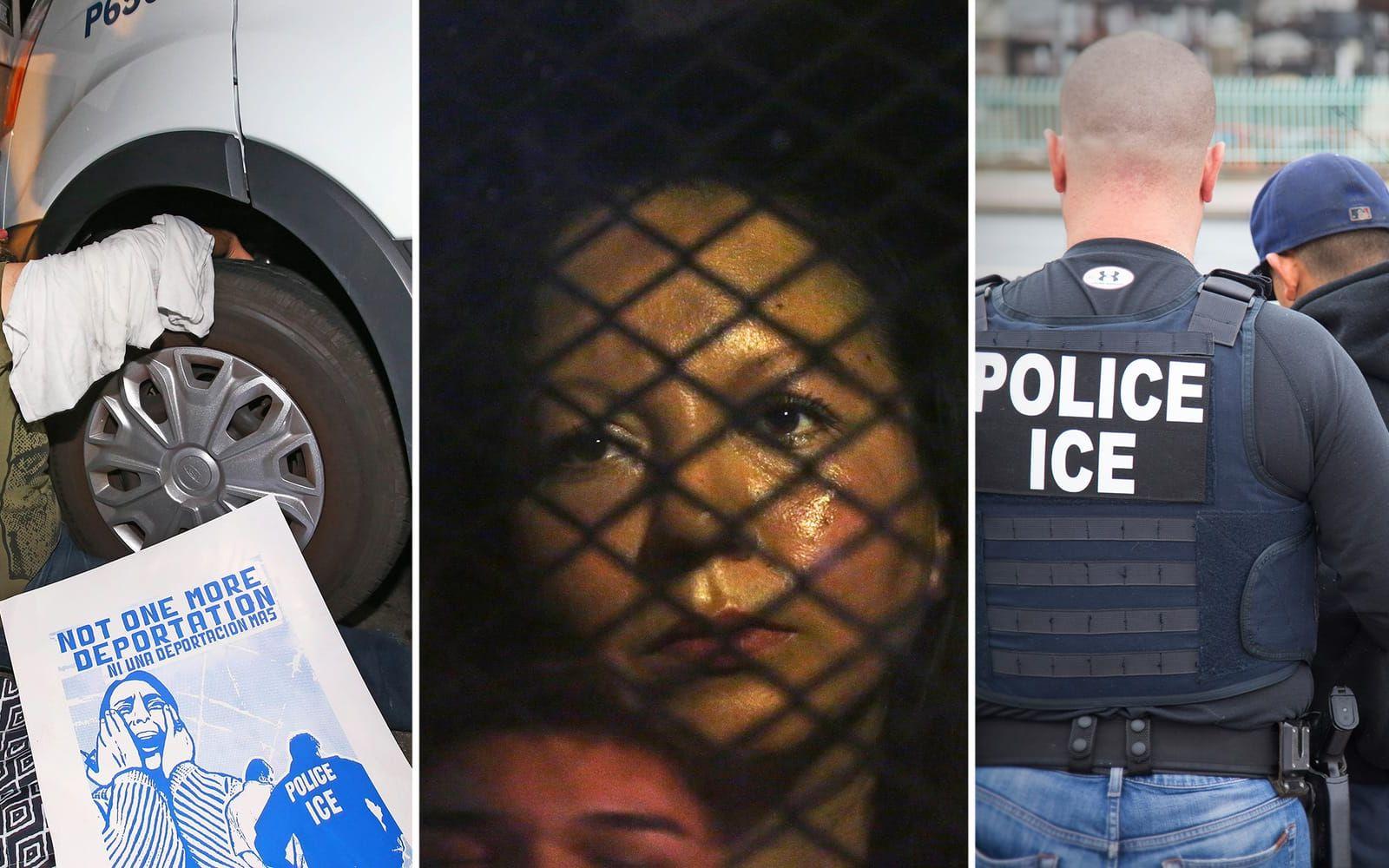 Guadalupe Garcia de Rayos, 35, i mitten, har utvisats efter 20 år i USA. Honkan vara den första migranten som utvisas från USA efter president Trumps exekutiva order. 
