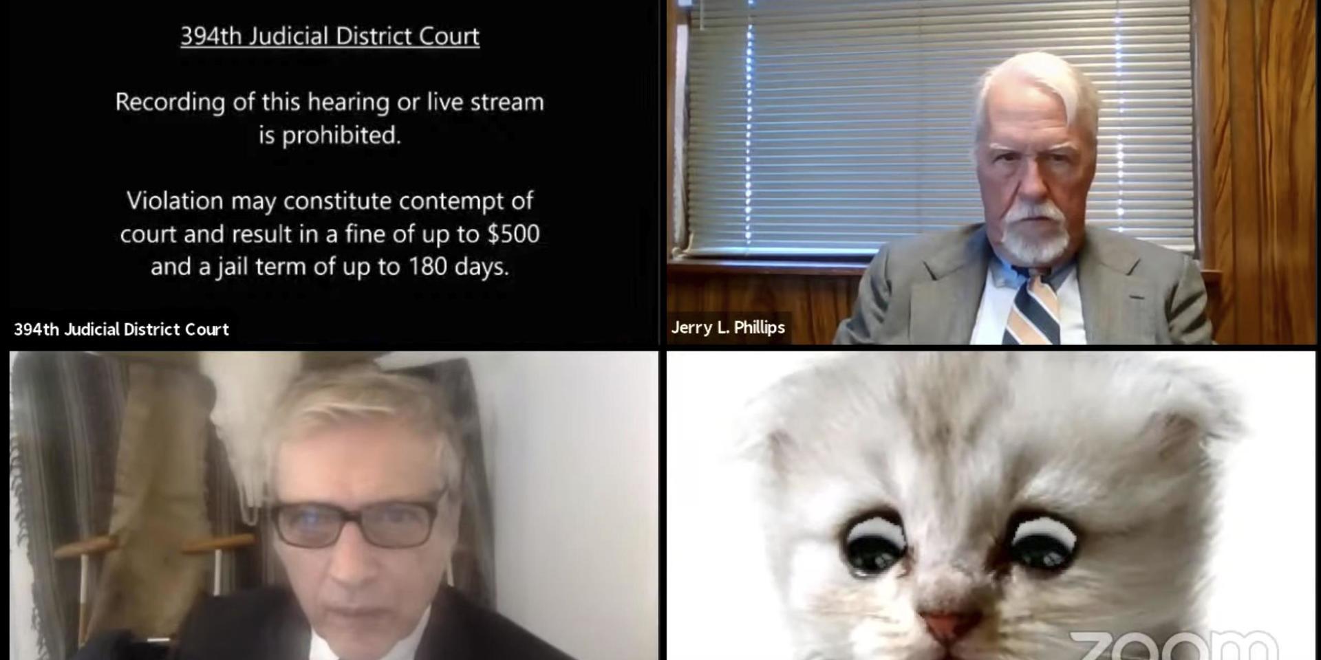 En av advokaterna framträdde av misstag som katt under ett virtuellt domstolsförhör i Texas på tisdagen.