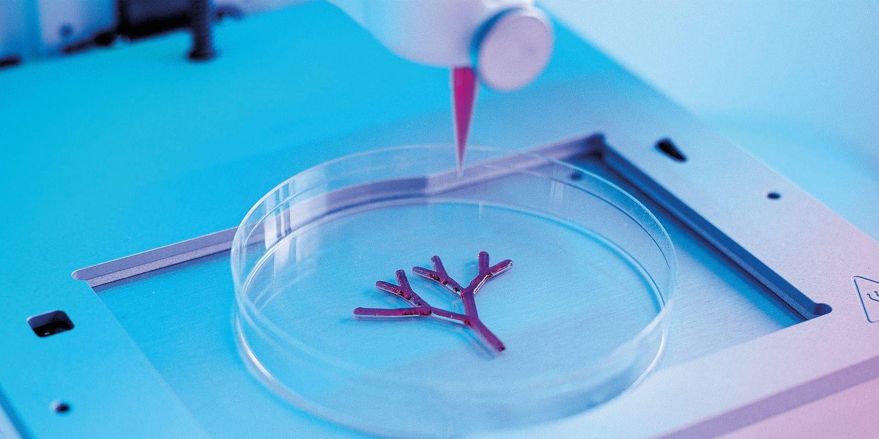 Cellinks unika biobläck kan skriva ut mänsklig vävnad i 3D-bioskrivare.