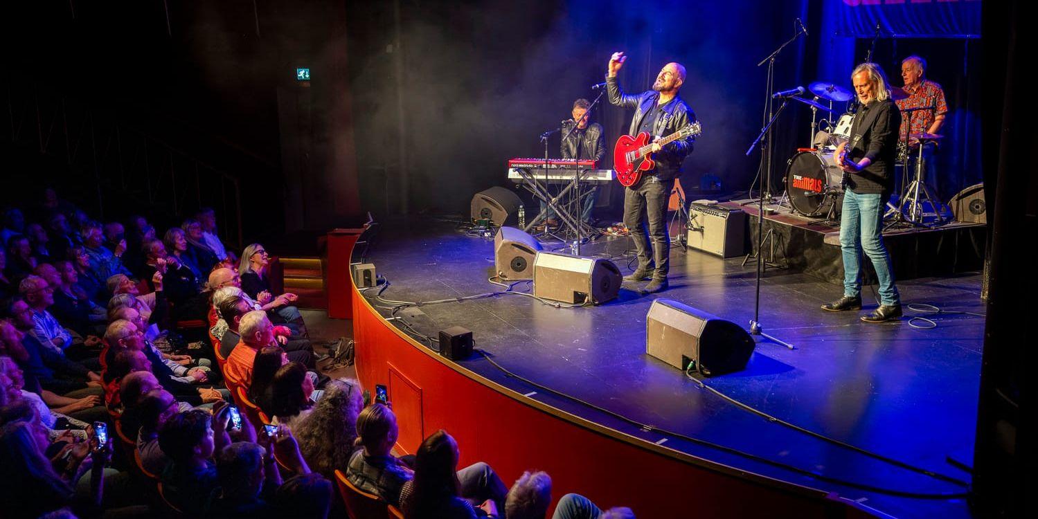 Bandet The Animals på scen.