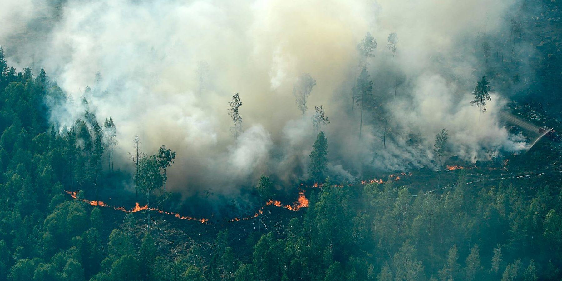 Flygbild över skogsbranden i Ljusdal – en av flera storbränder som just nu får landets räddningstjänster att gå på knäna.