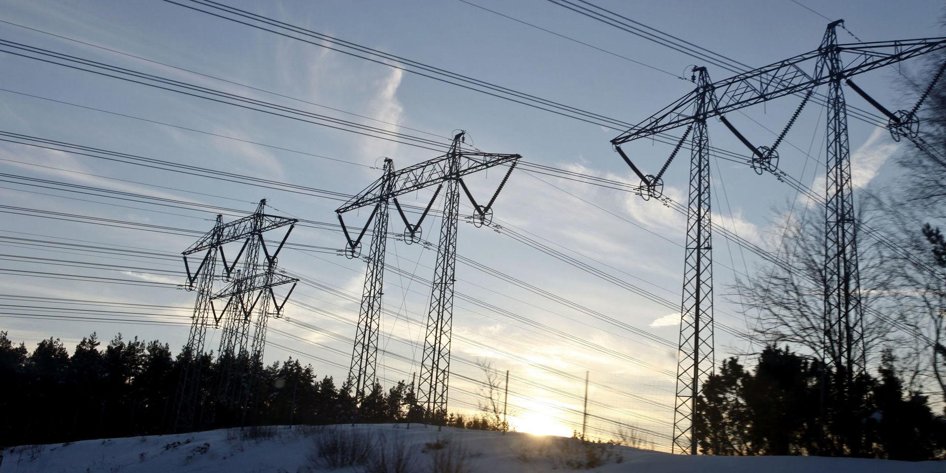 Det finns planer för att bygga ut elnäten i Sverige för 45 miljarder kronor. Men tillstånden tar ofta lång tid. Markägare gillar inte kraftledningar på ägorna.