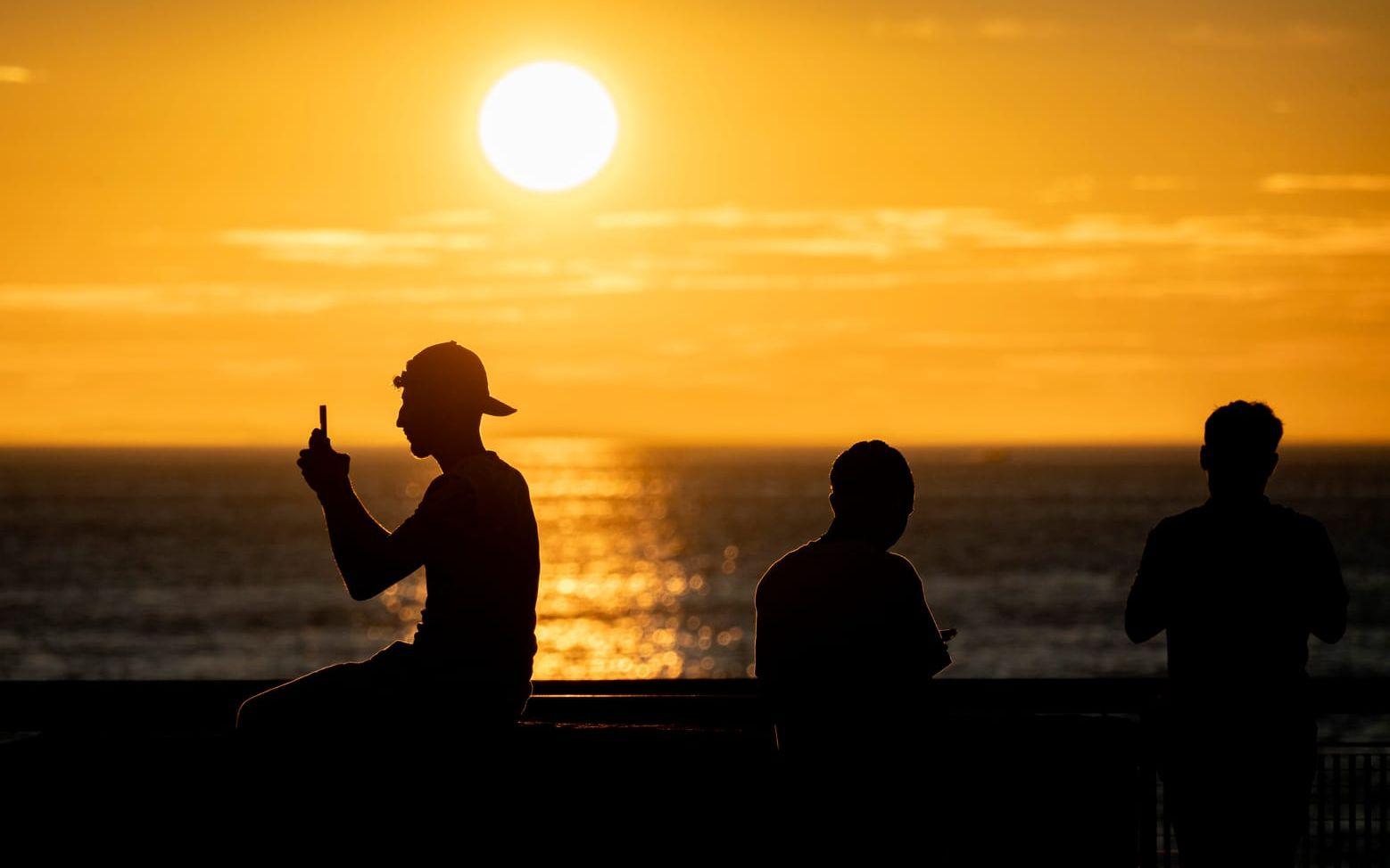 Förstagångsväljare är nästintill ensamma om att ta del av politiskt innehåll på Tiktok, enligt en ny rapport. Arkivbild.